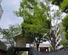 赤城神社の建物その他