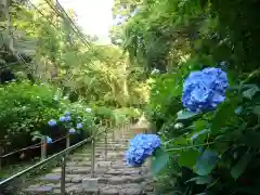 太平山神社の自然