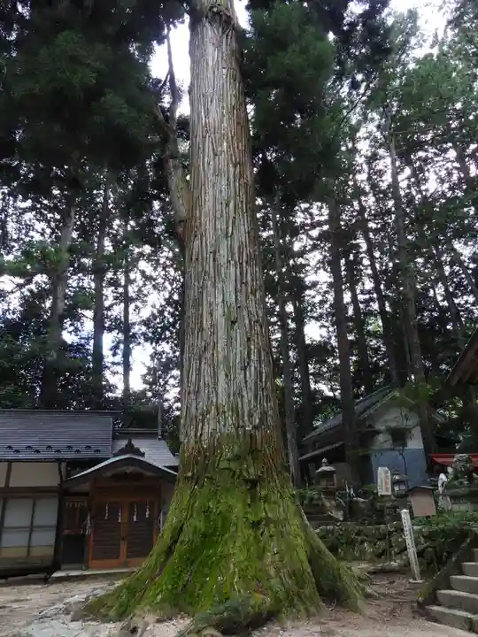 大山田神社(長野県)