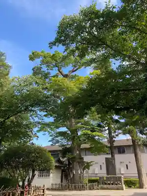 竹駒神社(宮城県)