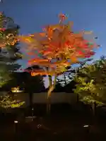 高台寺(高台寿聖禅寺・高臺寺)の庭園