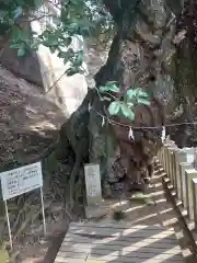 楽法寺（雨引観音）の自然