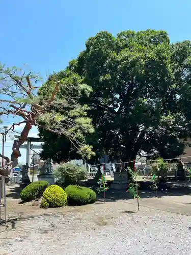 島田八坂神社の庭園