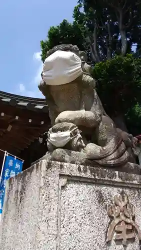 鶴峯八幡宮の狛犬