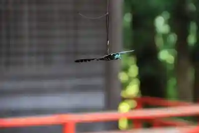 高司神社〜むすびの神の鎮まる社〜の授与品その他