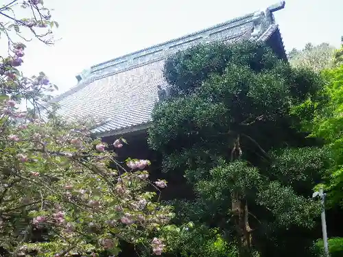 妙本寺のその他建物