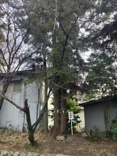 日吉神社(岐阜県)