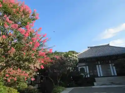 長谷寺(神奈川県)