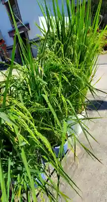 大鏑神社(福島県)