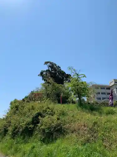 三峯神社の鳥居