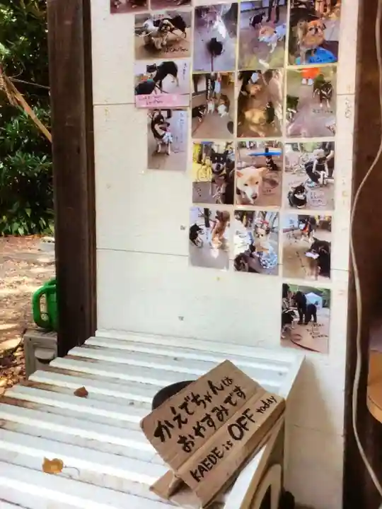 上目黒氷川神社(東京都)