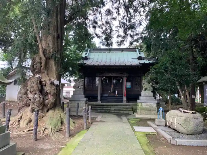 飯泉八幡神社(神奈川県)