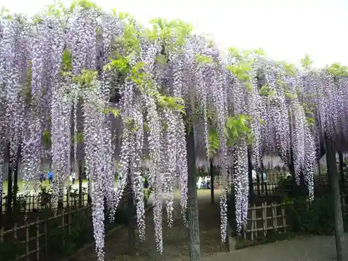 玉敷神社(埼玉県)