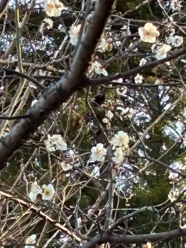 天神社(静岡県)