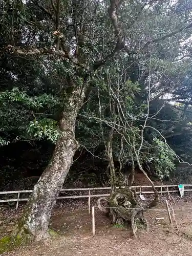 磯辺神社(京都府)