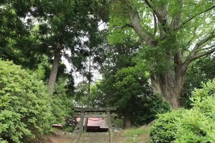 駒形稲荷神社の建物その他