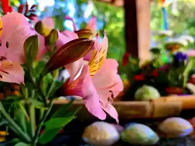滑川神社 - 仕事と子どもの守り神の手水舎