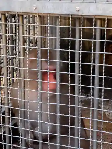 日吉大社(滋賀県)