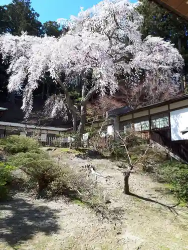 瑞巌寺の庭園