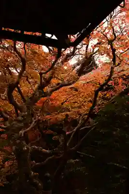 禅林寺(永観堂)(京都府)