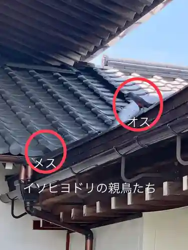 上行寺(静岡県)