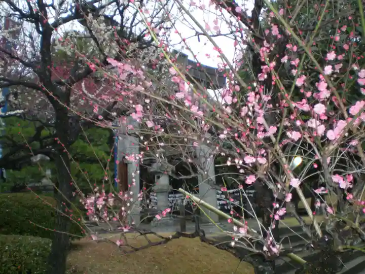出水神社の自然