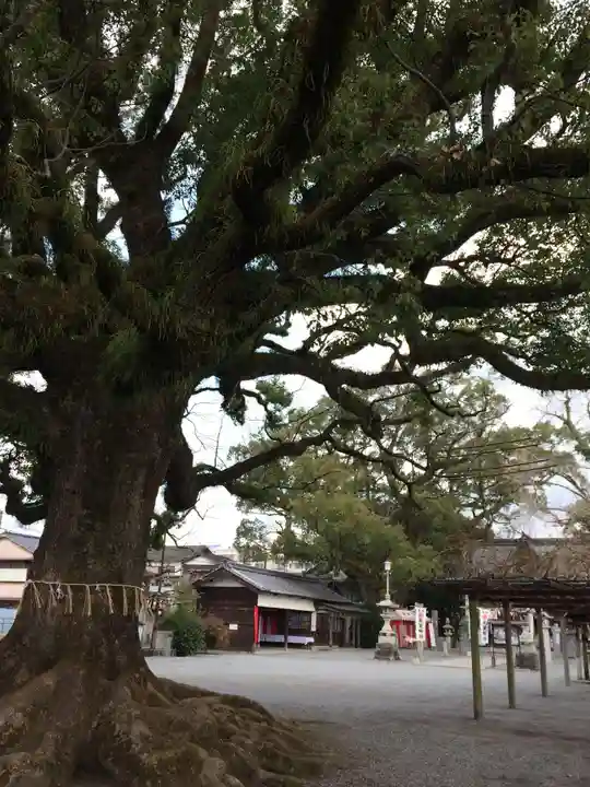 須賀神社(福岡県)