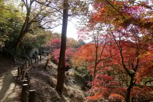 笠置寺の景色