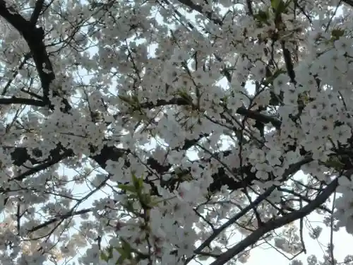 龍城神社の自然