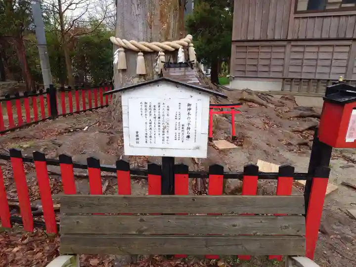 曽根神社の自然