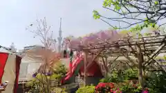 亀戸天神社の庭園