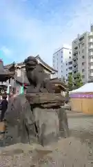 浅草神社の狛犬