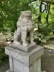 日陶神社の狛犬