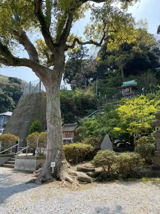 走水神社(神奈川県)