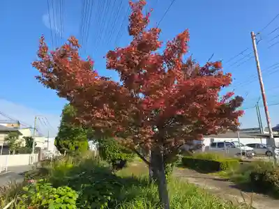 大師寺 平野別院(大阪府)