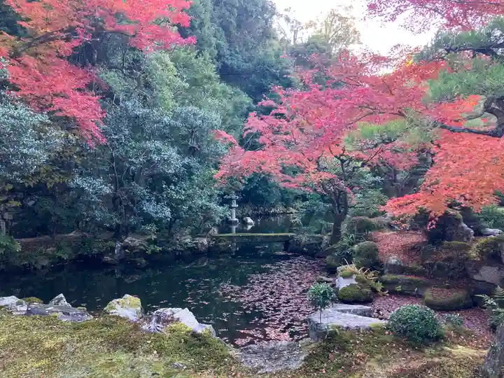 知恩院(京都府)