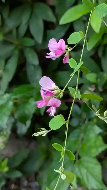 梨木神社(京都府)