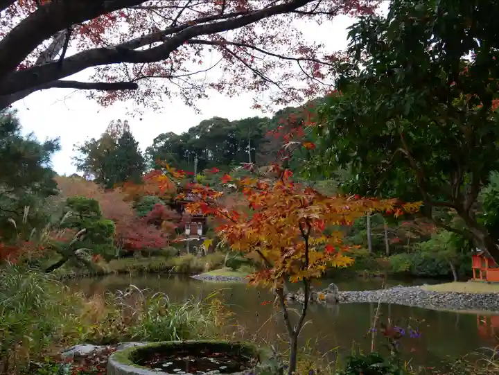 浄瑠璃寺の自然