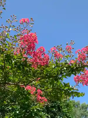 長泉寺(栃木県)