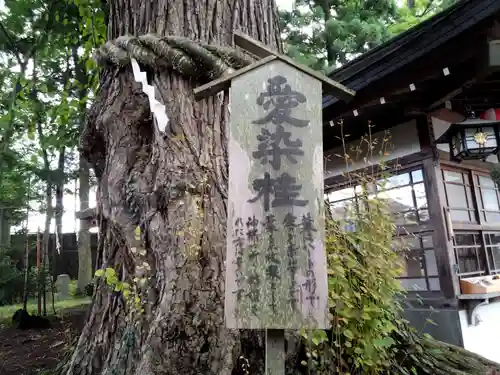 小室浅間神社の歴史