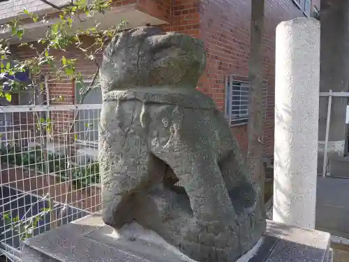 穏田神社の狛犬