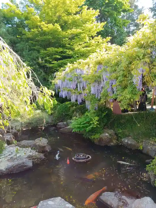 金蛇水神社(宮城県)