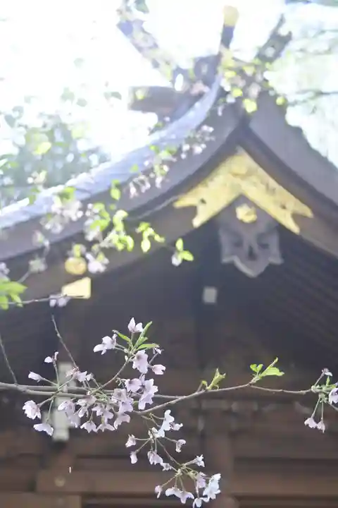 子安神社の自然