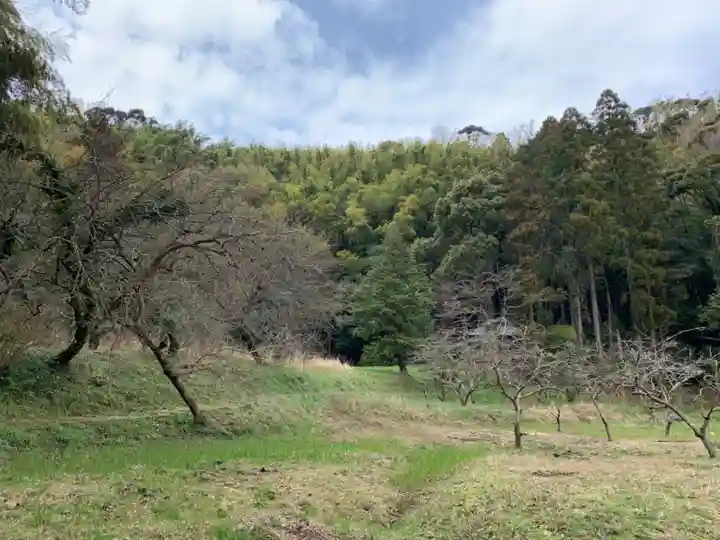 熊野神社(千葉県)
