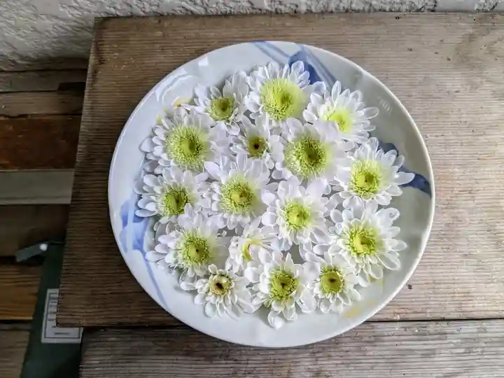 彌彦神社 (伊夜日子神社)の芸術
