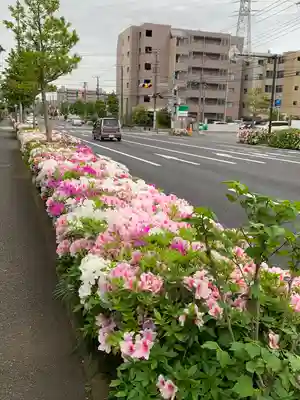 若雷神社(神奈川県)
