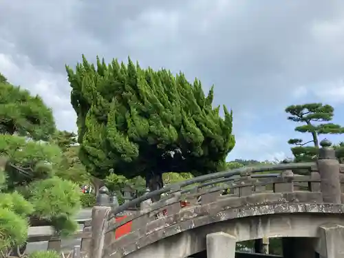 鶴岡八幡宮(神奈川県)