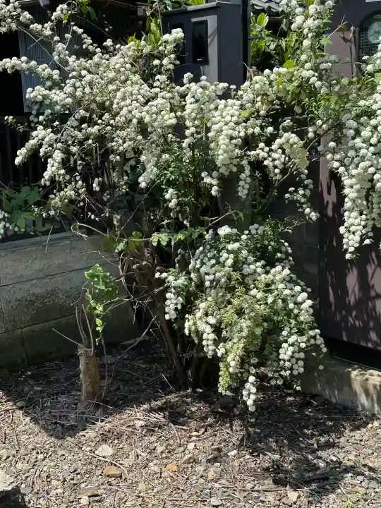 帆山寺(福井県)