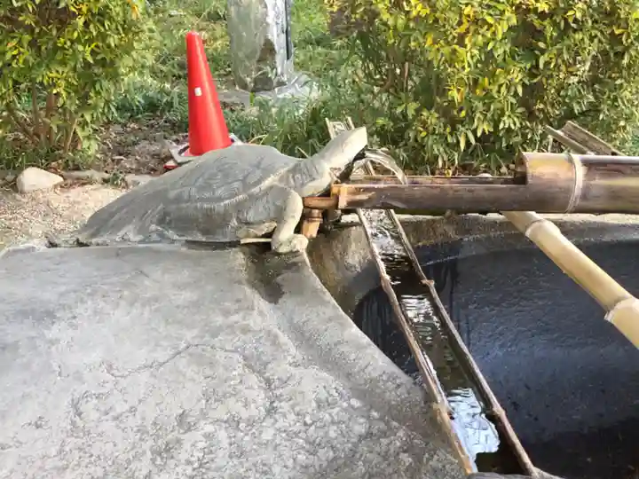 伊弉諾神宮の手水舎