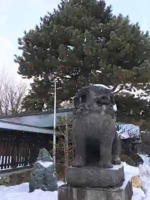 札幌護國神社の狛犬